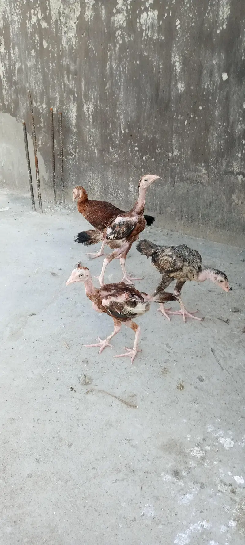 all for sale best price contact — photo 7