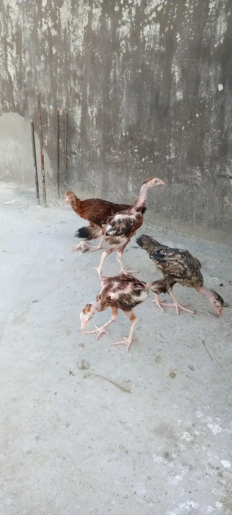 all for sale best price contact — photo 10