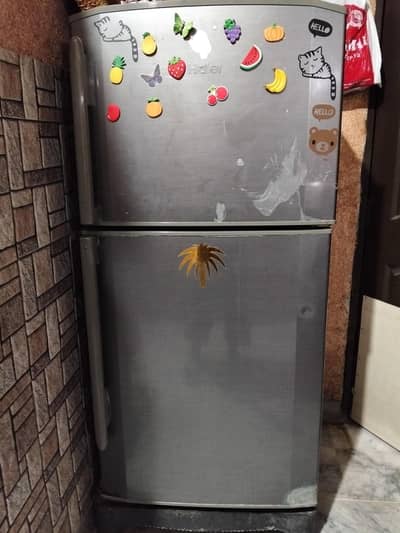 Haire company fridge medium size