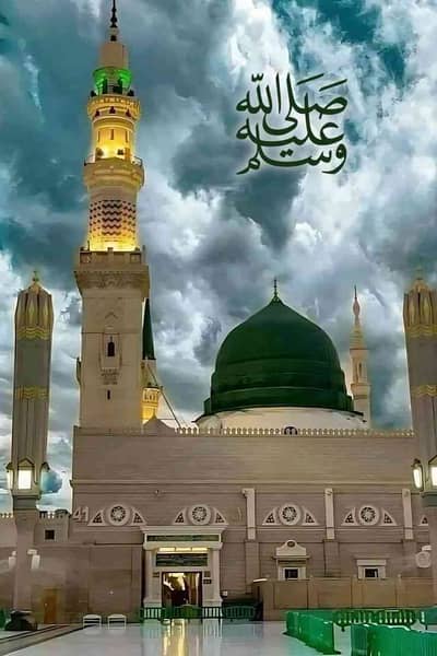 haseeb 