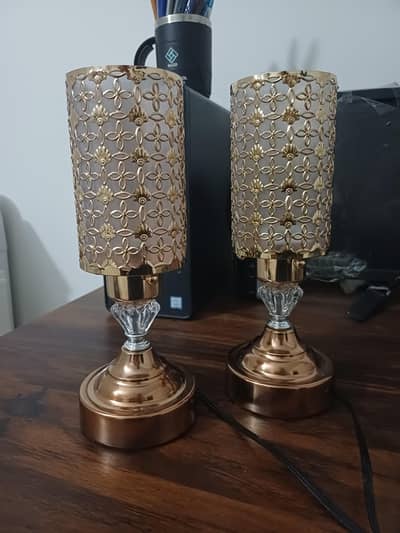 Brand new 2 lamps