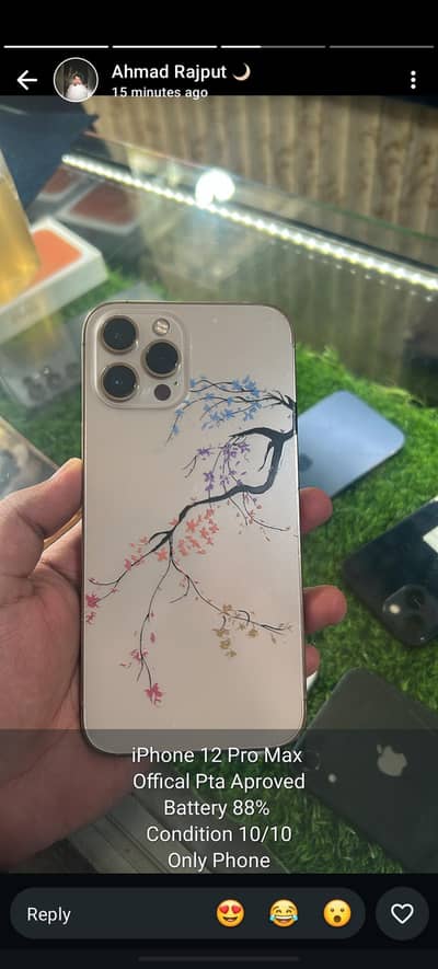 Apple iPhone 12 Pro Max