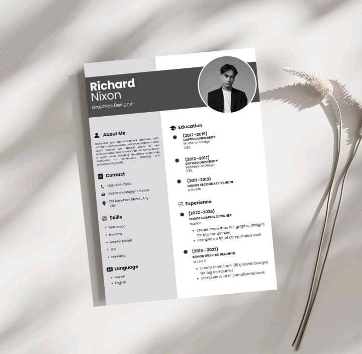 Professional CV Template 0