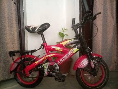 bicycle 12 inch