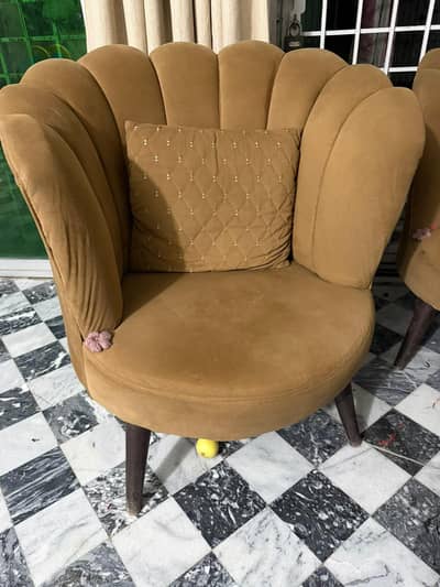 Cushing in camel brown velvet