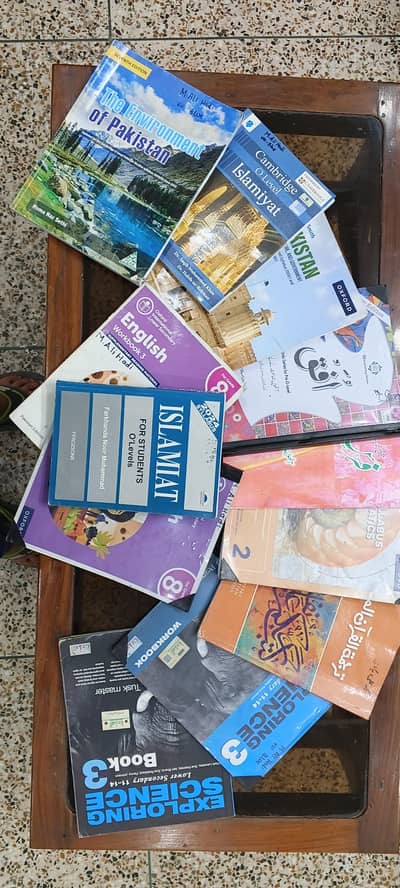 Lahore Grammer School (landmark syllabus) class 8 syllabus all books