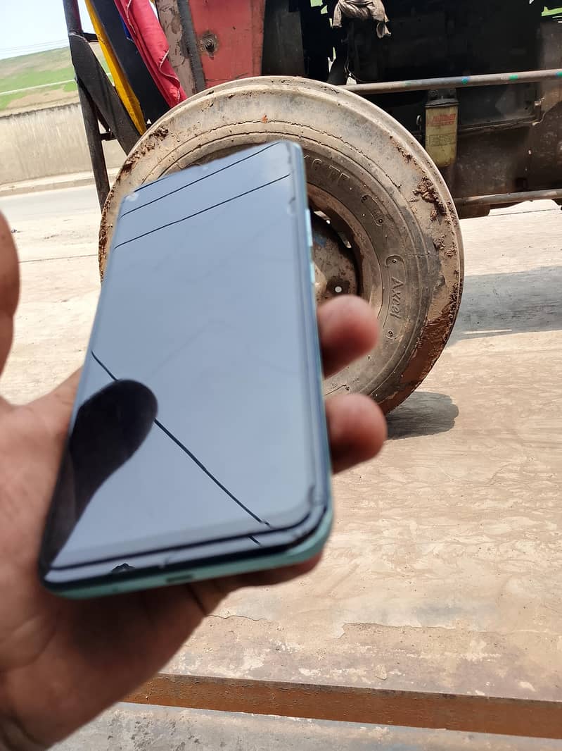 Nokia C31 8