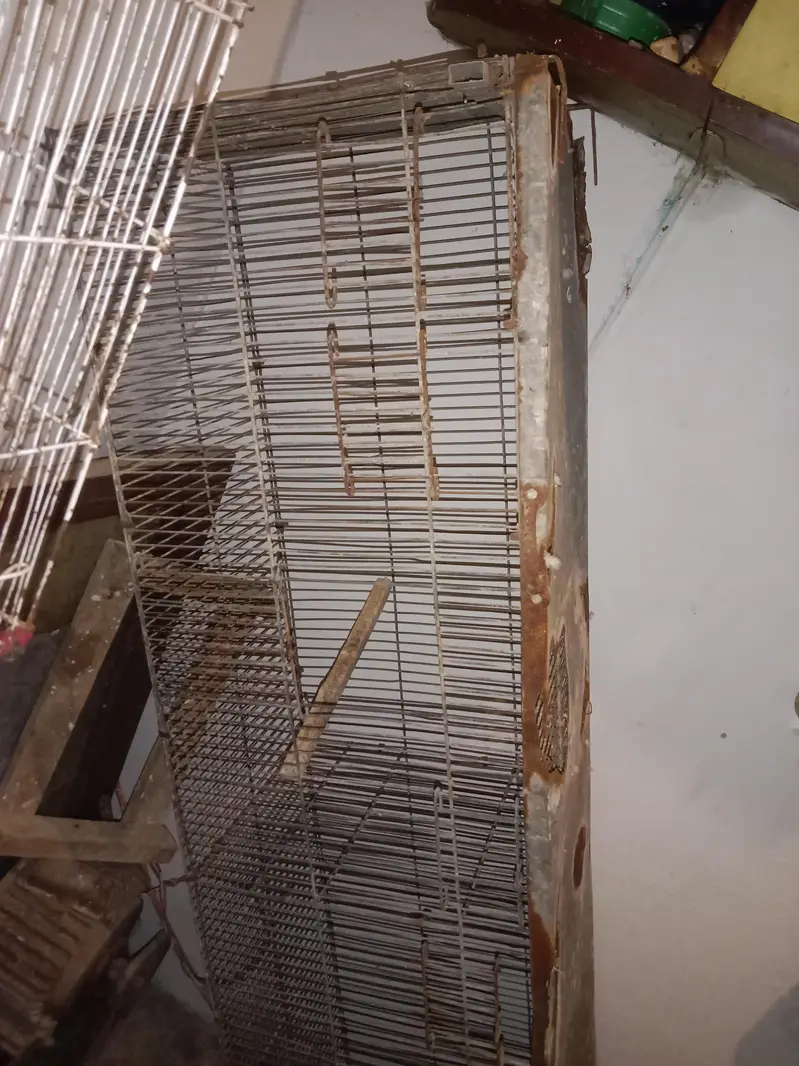 cage for sale — photo 2
