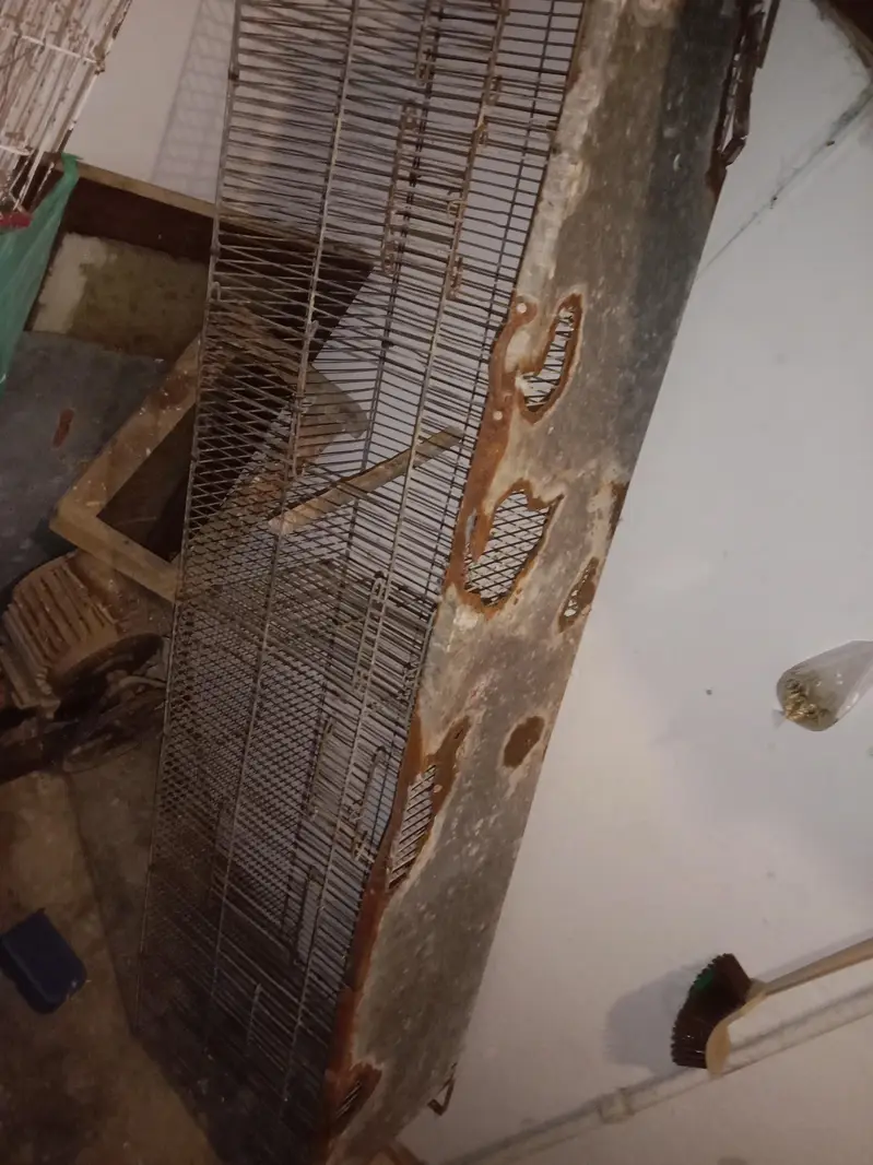 cage for sale — photo 3