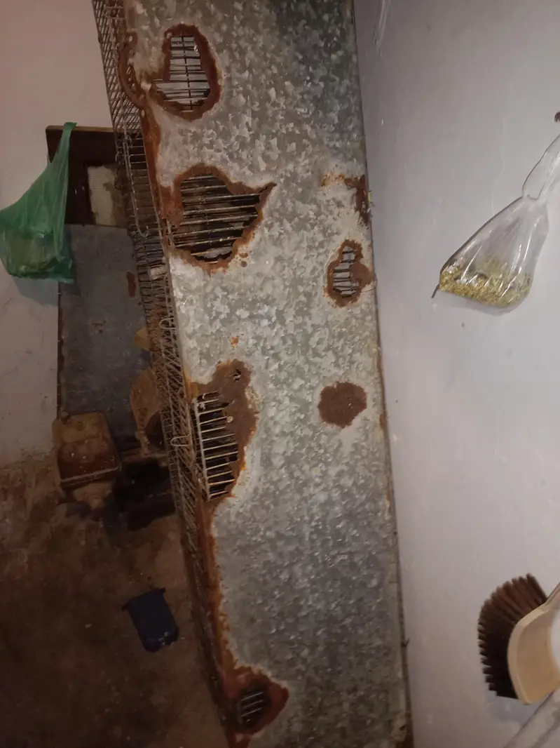 cage for sale — photo 4