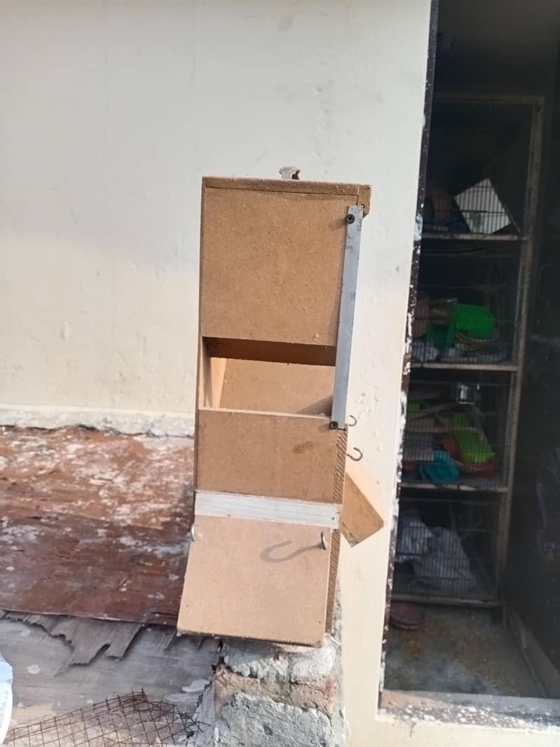 4 portion cage 13