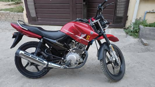 Ybr 125G Lush Condition