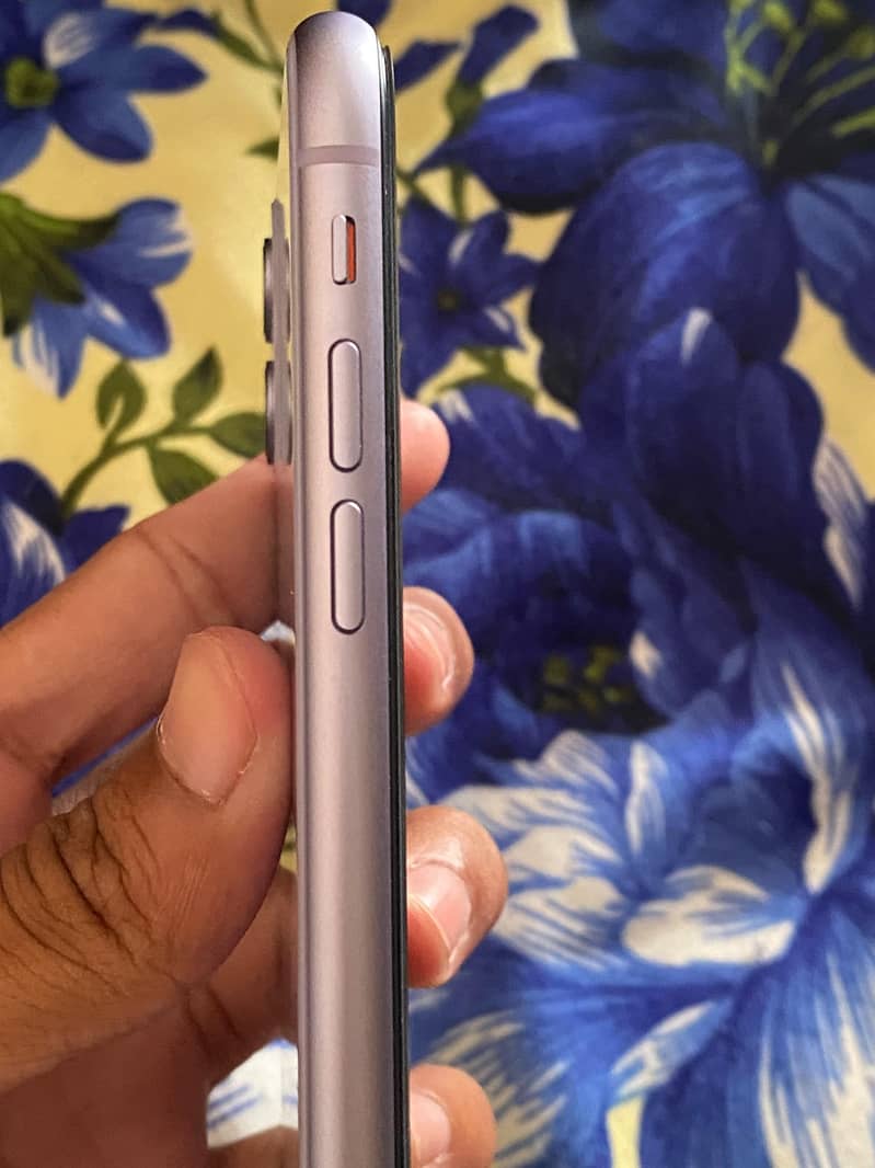 Apple iPhone 11 0