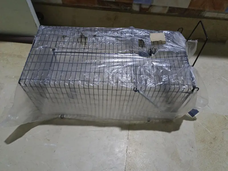 Big Cate Cages — photo 2