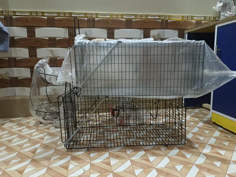 Big Cate Cages — photo 3
