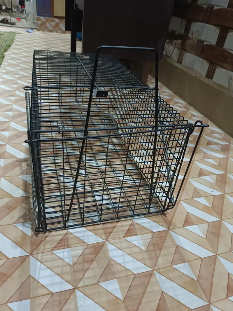 Big Cate Cages — photo 7