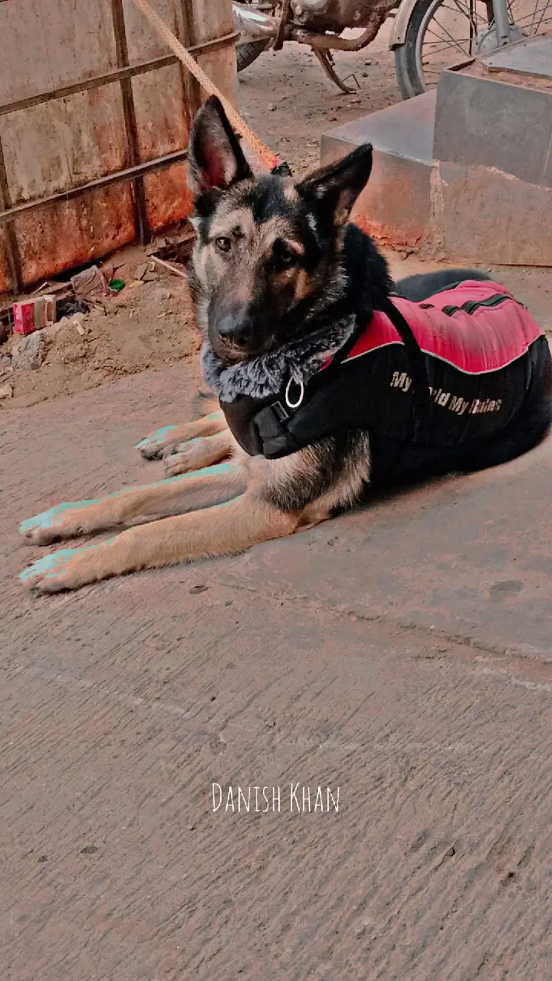 rajuu — photo 3