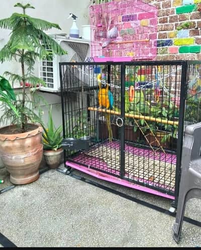 cage for sale