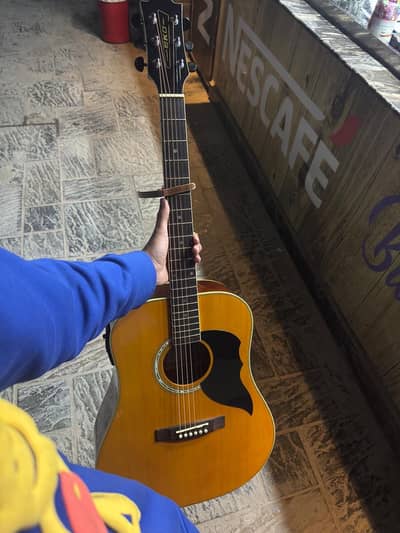 EKO Semi Acoustic Professional Italian Brand Guitar