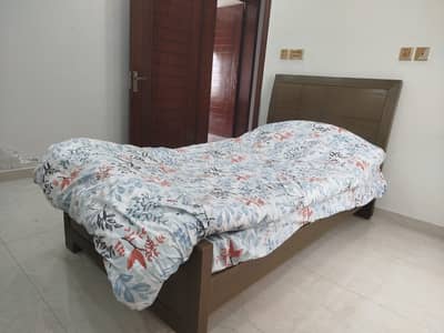 01 Bed+Mattress   Quantity: 03 Beds