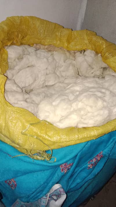 pasham ki rui for sale
