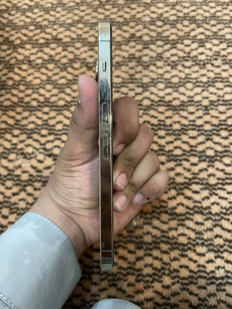 13 pro max 3