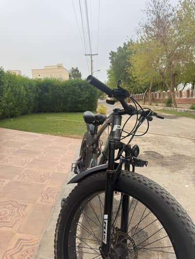 fat tyre bi cycle