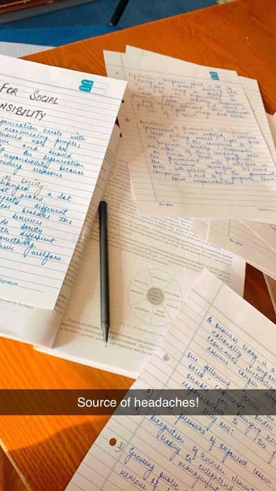 I m a professional writer