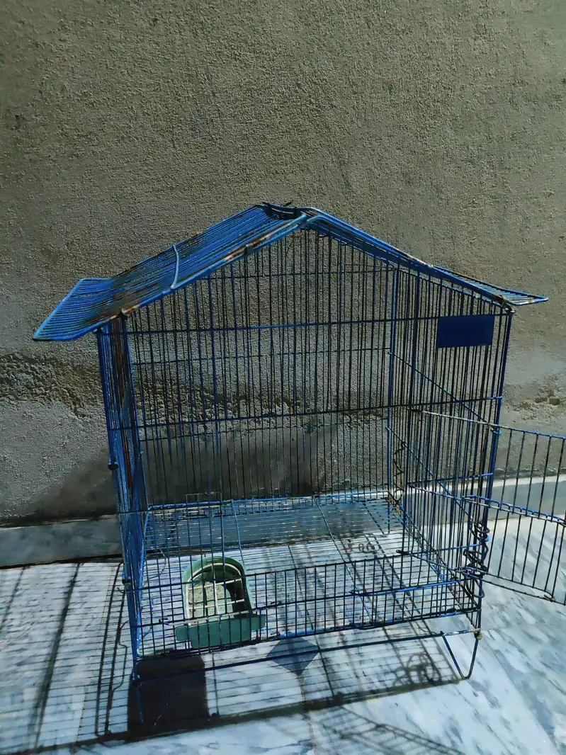 Condition 10/9 ok — photo 2