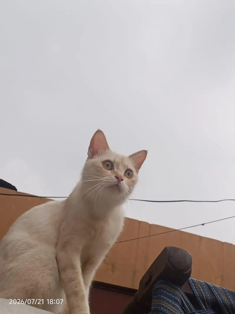 we want just selling — photo 2