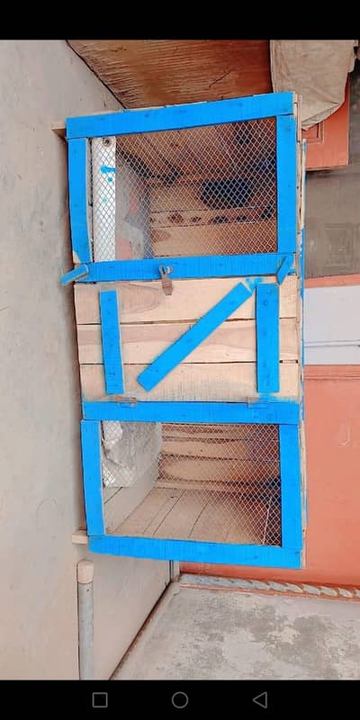Hen Cages