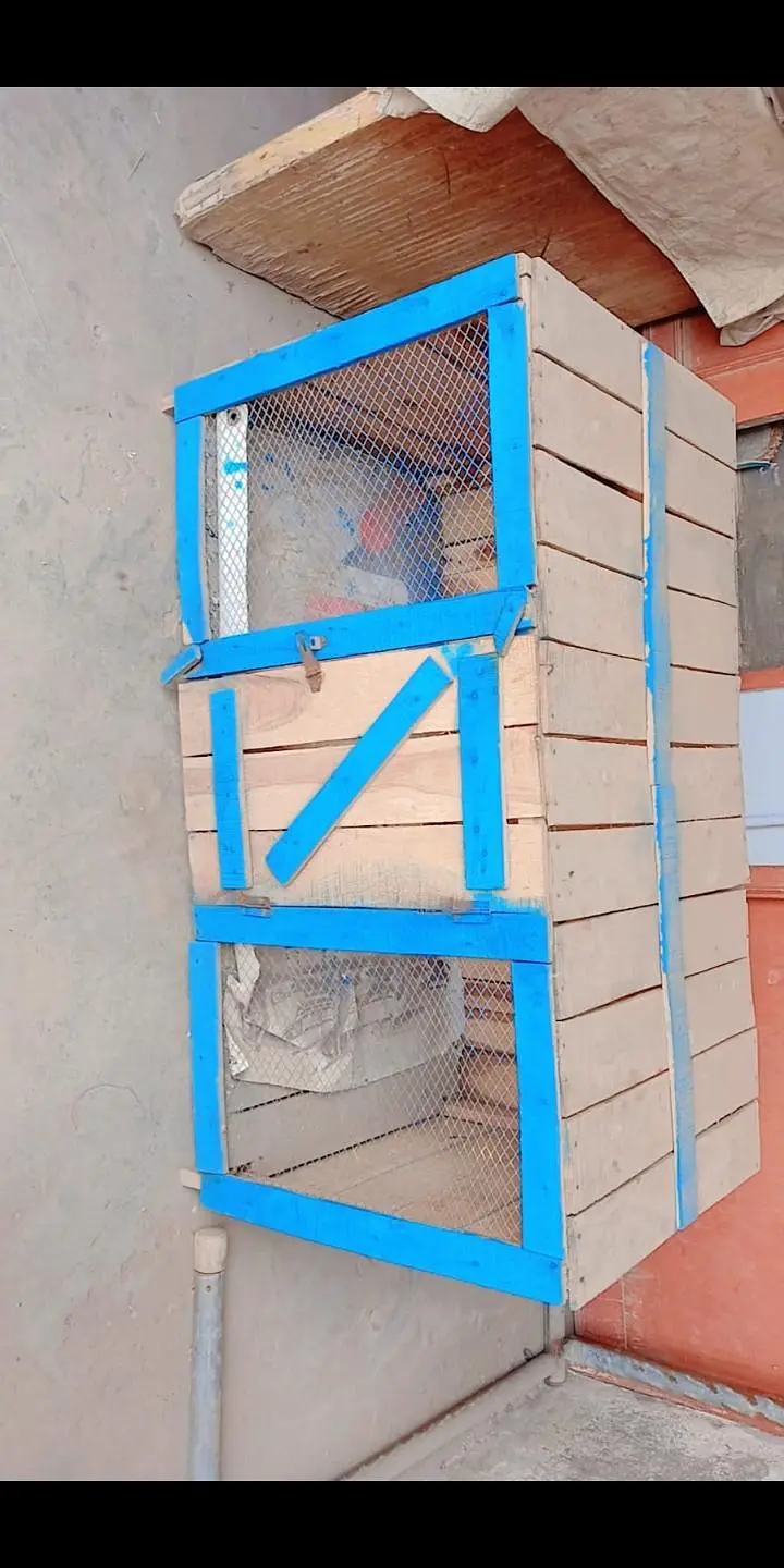 Hen Cages — photo 3