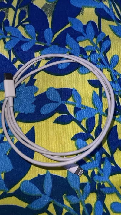 Original iPhone cable