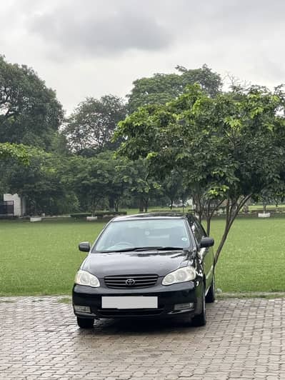 Toyota Corolla XLI 2004 Gift For Corolla Lovers
