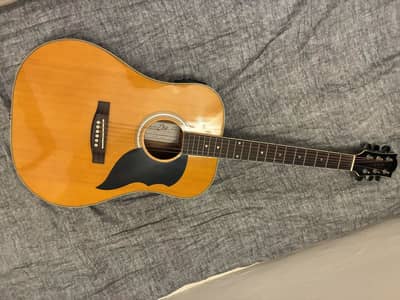 EKO Semi Acoustic Professional Italian Brand Guitar