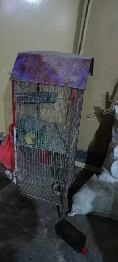 cage double portion