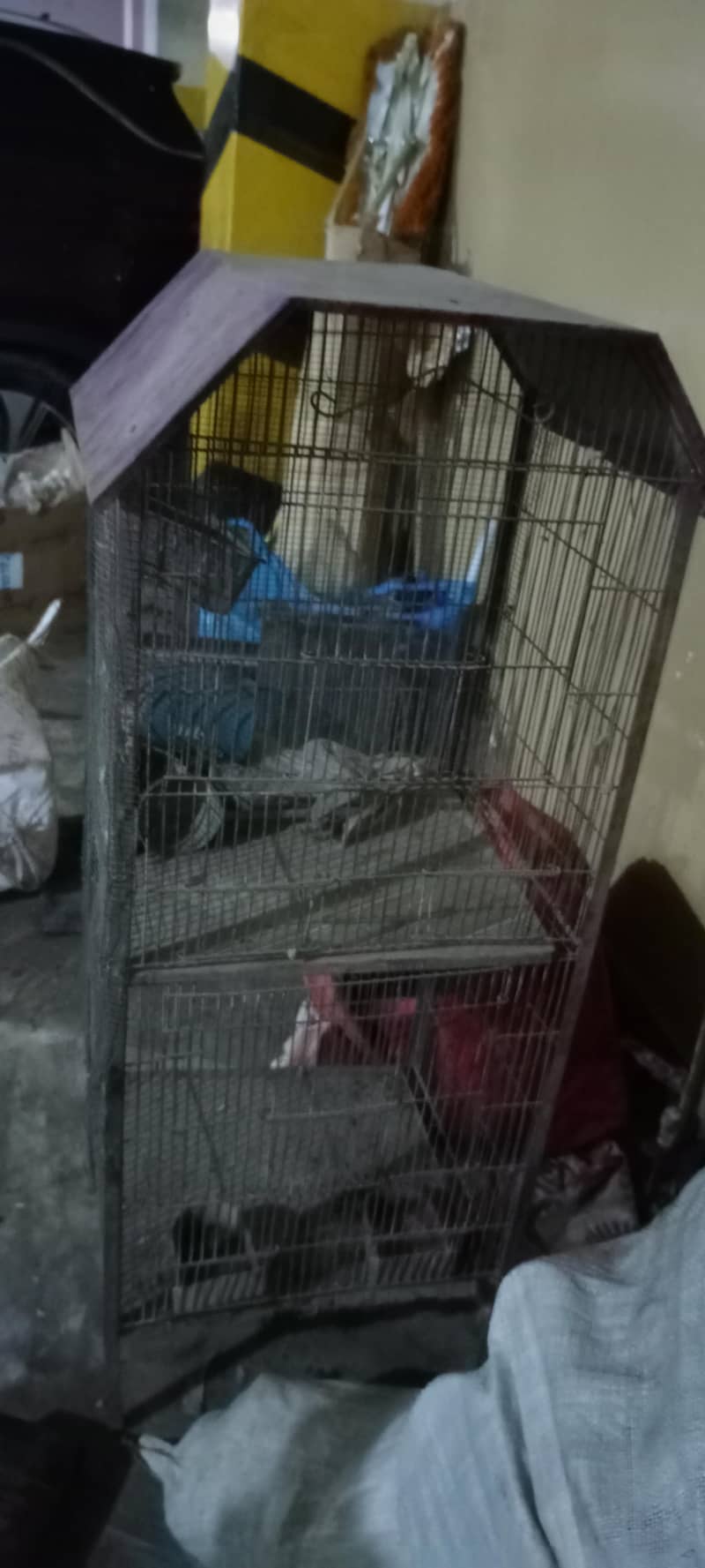 cage double portion 1