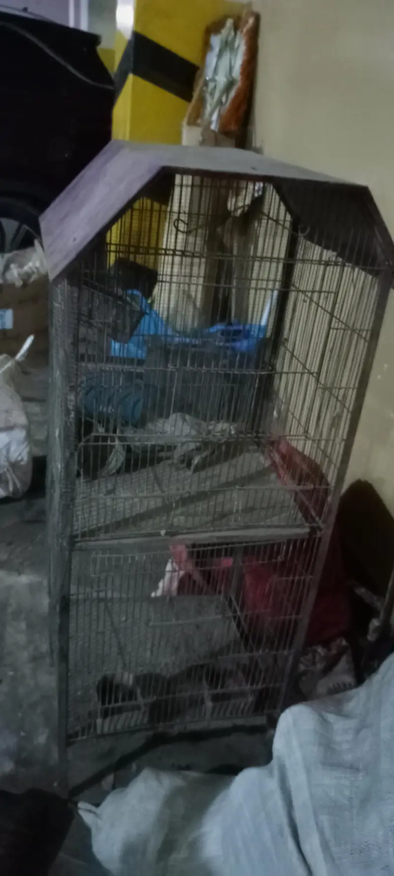 cage double portion — photo 2