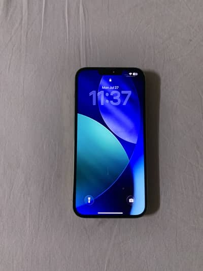iPhone 13pro max