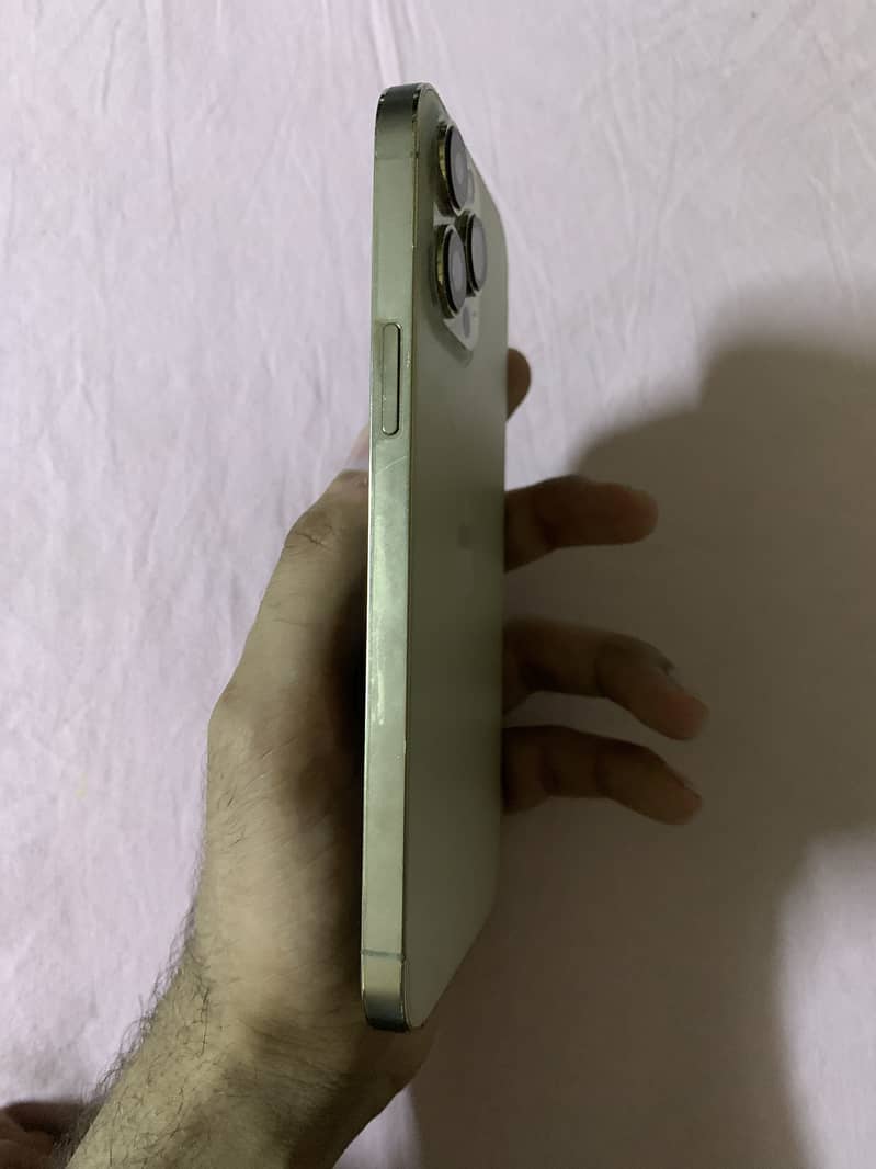 iPhone 13pro max 3