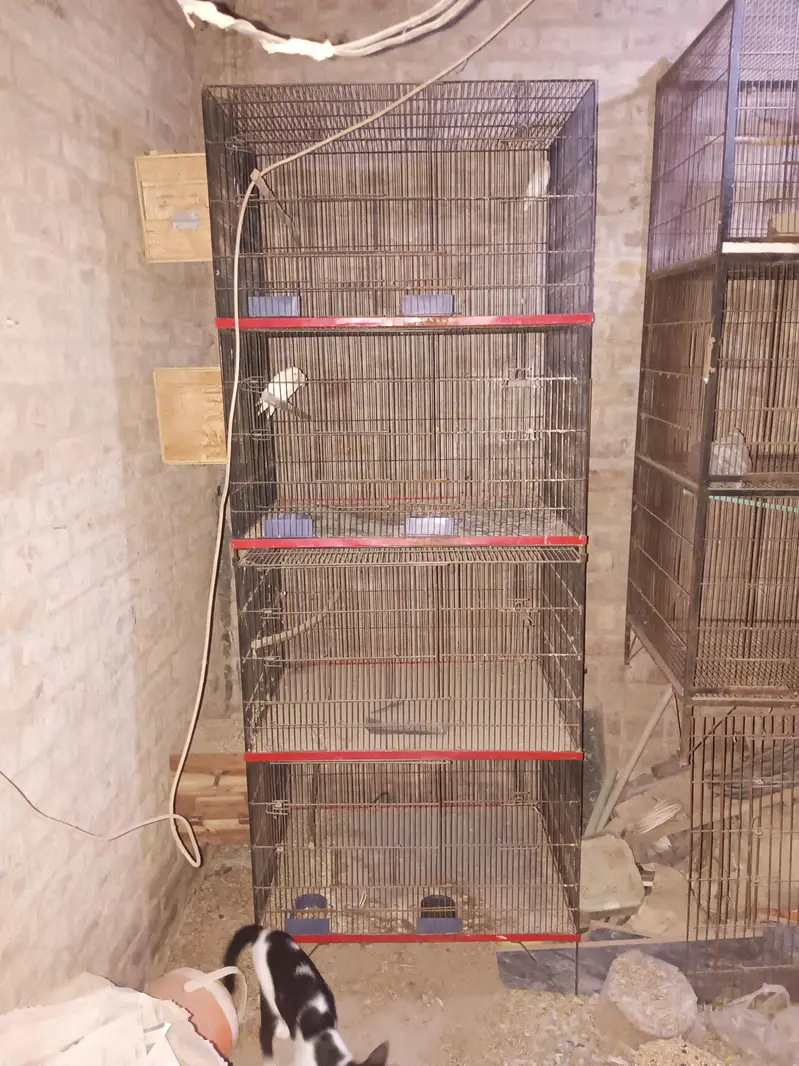 4 Cages of 3 — photo 2