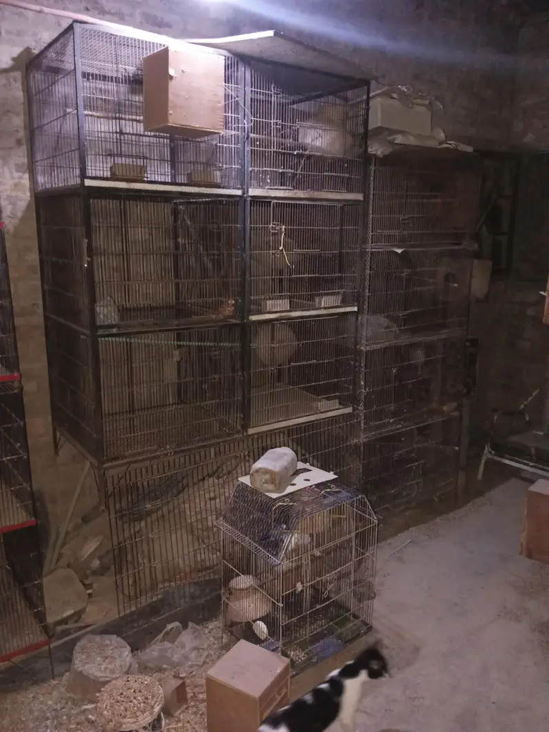 4 Cages of 3 — photo 3
