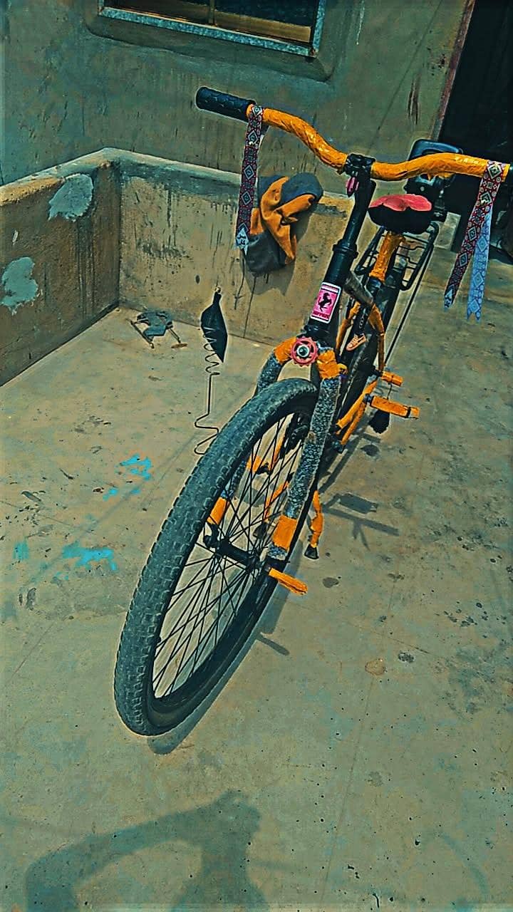bicycle 1