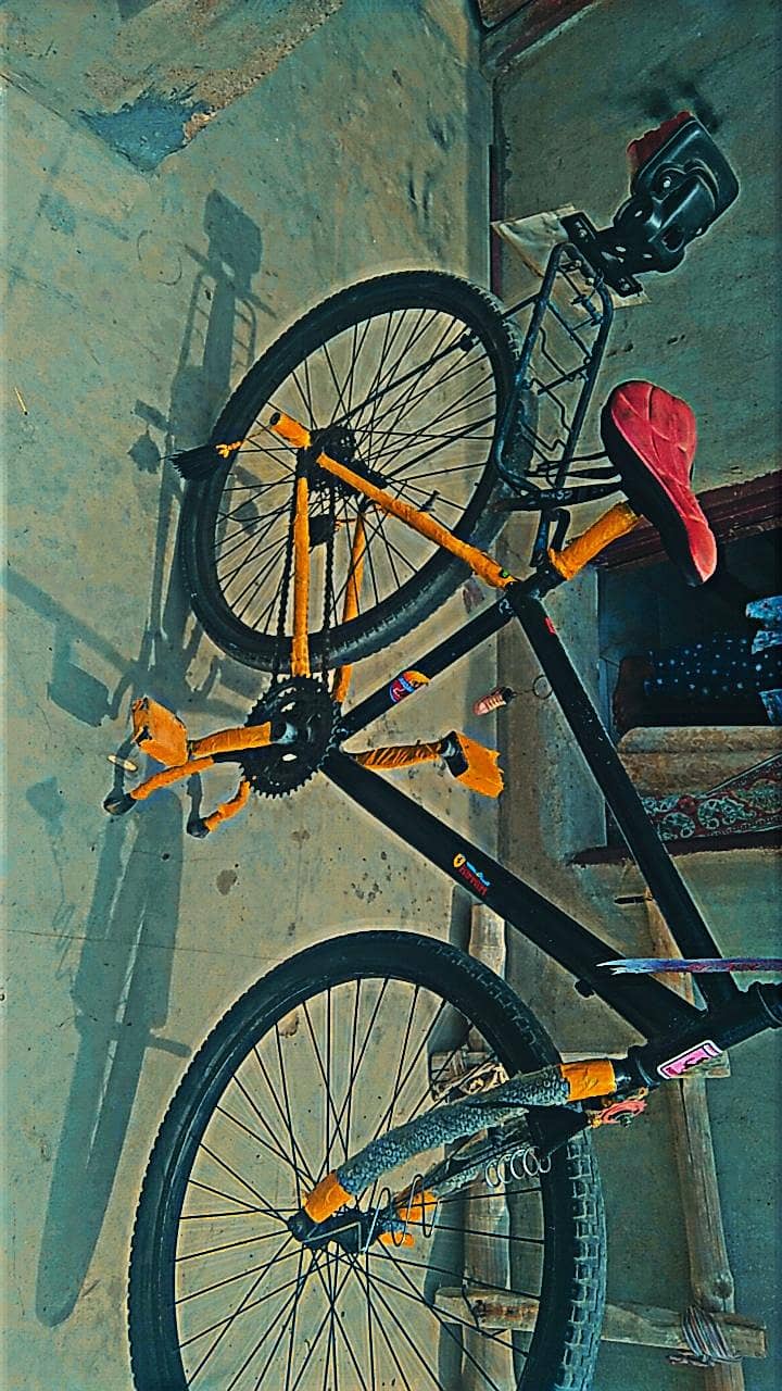 bicycle 2