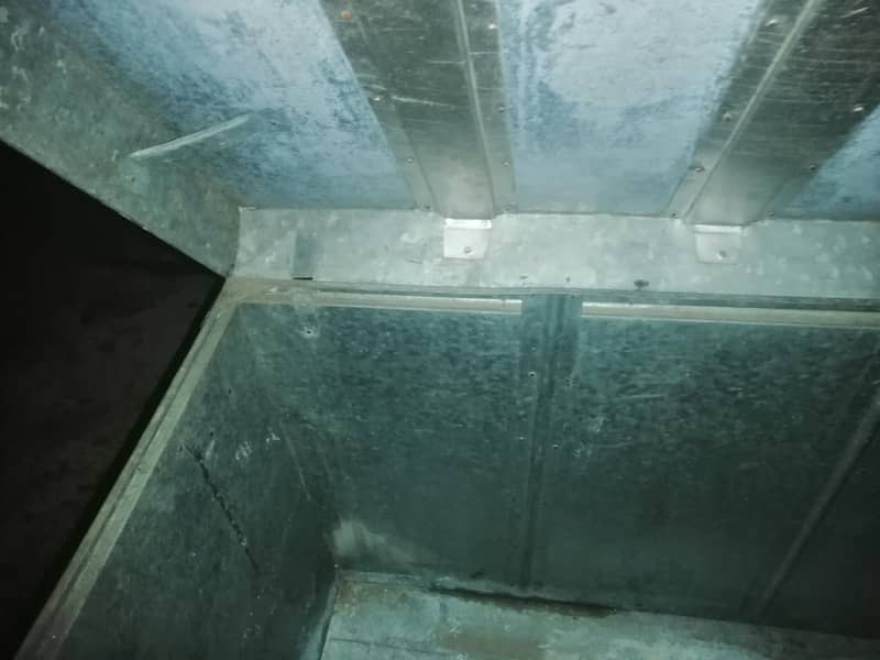 full size Trunk 3
