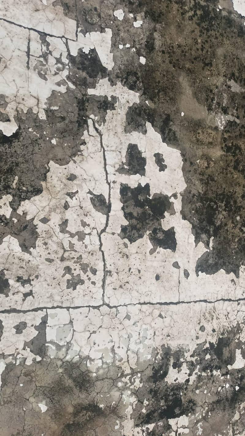 water proofing 10