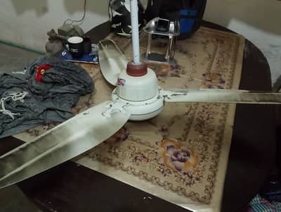 Power Star Ceiling Fan