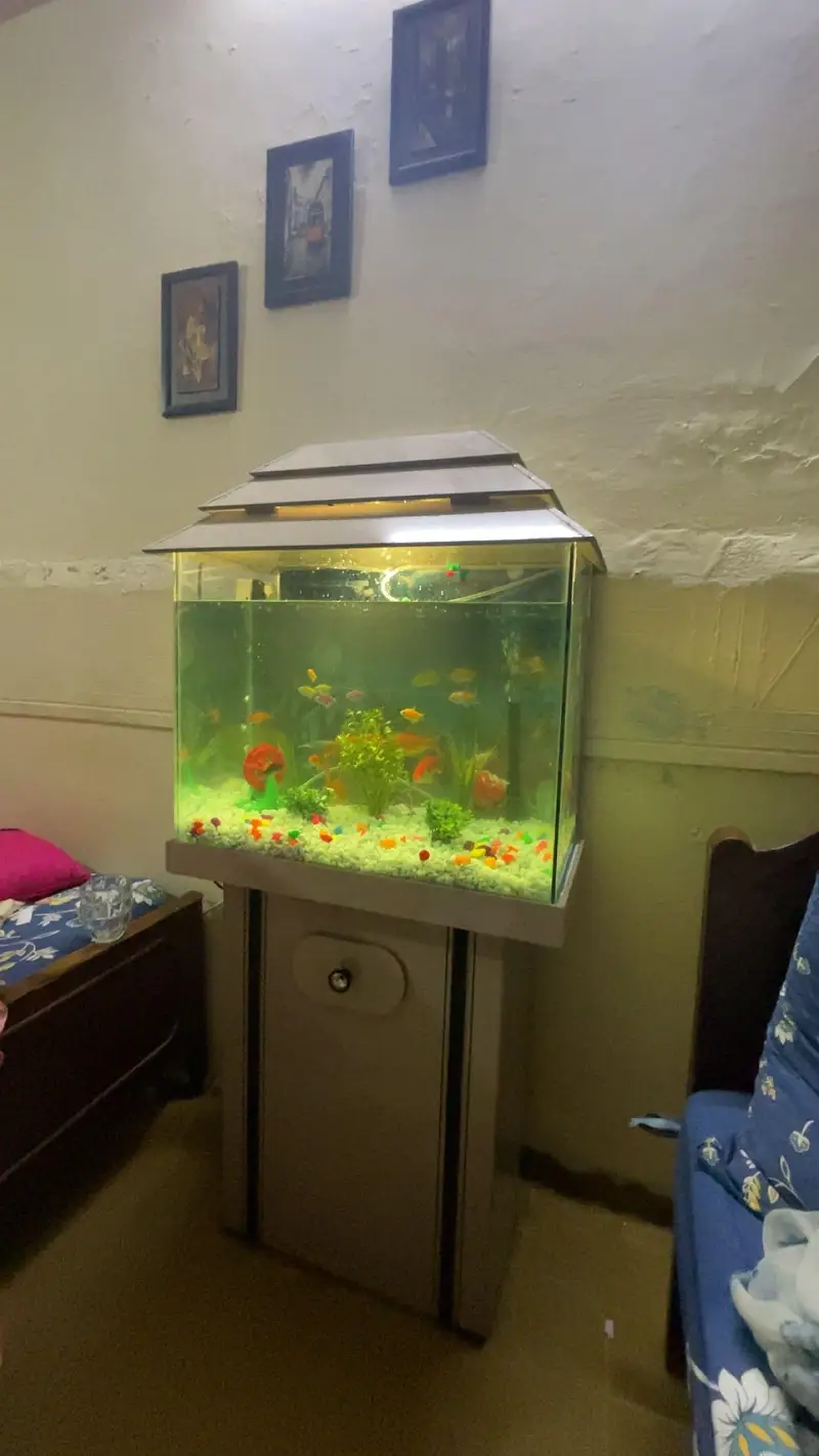 aquarium