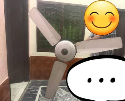 Falcon Ceiling Fan