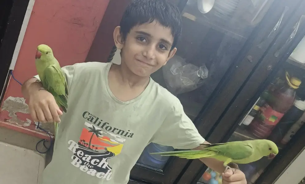 male parrot — photo 3
